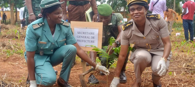 Daoukro/ Célébration de la journée de l'arbre/ La directrice régionale des Eaux et forêts tire la sonnette d'alarme