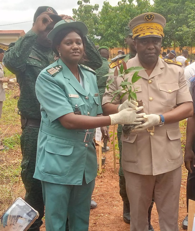 Daoukro/ Célébration de la journée de l'arbre/ La directrice régionale des Eaux et forêts tire la sonnette d'alarme