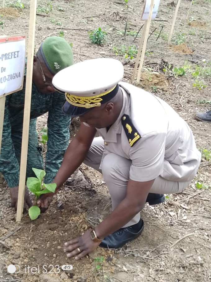 Lutte contre la désertification/Une association sollicite un fonds d'aide de 3 millions pour planter 10 mille arbres.