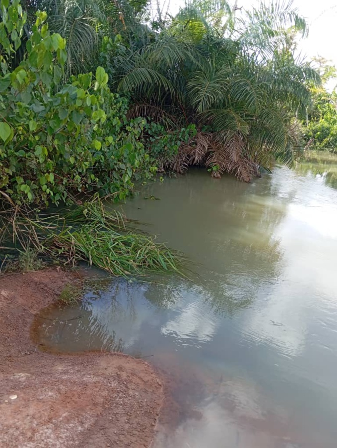 Bangolo/ Drame/ Un tradi praticien périt dans une rivière en crue