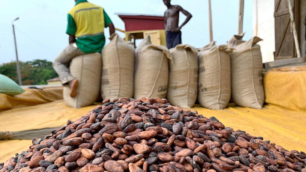 Ph:DR les acteurs du café cacao