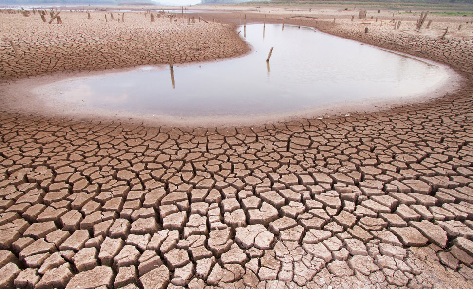 COP15 sur la désertification et la sécheresse : les retombées pour la Côte d’Ivoire