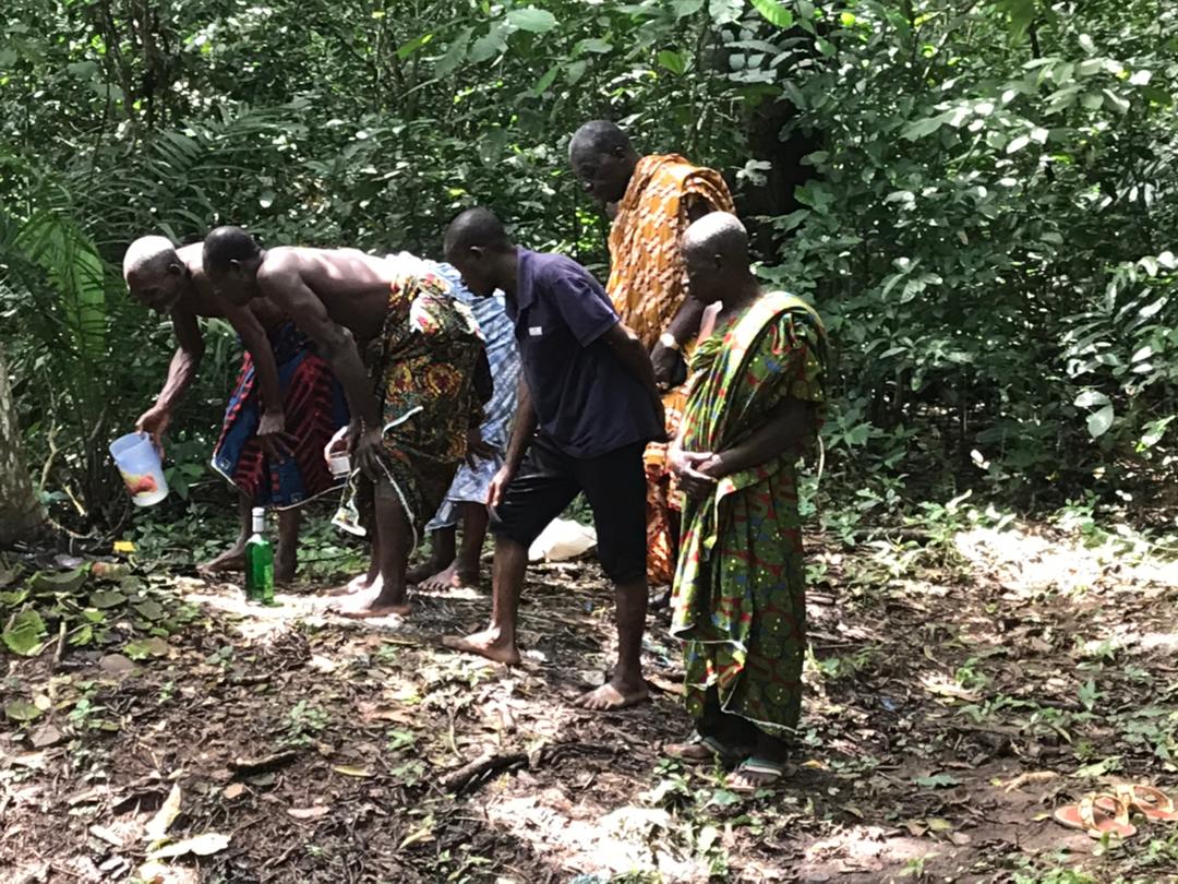 Les festivaliers ont fait un tour dans la forêt sacrée de Kolodio