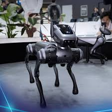 Tégui, le chien- robot