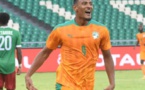 Sébastien sera t-il HALLER au Cameroun ?