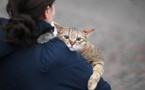 Guerre en Ukraine : la France met un dispositif en place pour les animaux réfugiés