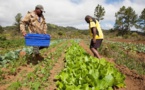 L’ Avenir de l’Agritech se dessine en Afrique