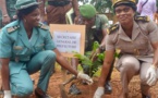 Daoukro/ Célébration de la journée de l'arbre/ La directrice régionale des Eaux et forêts tire la sonnette d'alarme