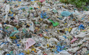 journée mondiale sans sachets plastiques : un changement d’habitude s’impose.