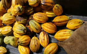 Le conseil Café –Cacao de Côte d’Ivoire présent  au Forum européen  du Cacao en Italie.